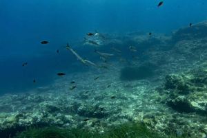 Essayez la plongée sous-marine à Cala d'Or – Aucune expérience requise