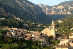 Valldemossa and Soller: Day Tour with Tram and Bus