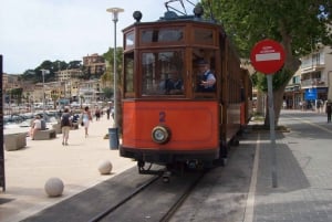 Valldemossa and Soller: Day Tour with Tram and Bus
