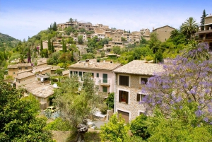 Valldemossa and Soller: Day Tour with Tram and Bus