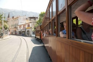 Alcudia/Marratxi: Valldemossa & Soller Tour by Tram & Bus