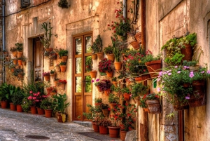 Valldemossa: Day Trip with Panoramic Route