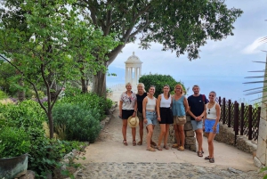 Valldemossa: Day Trip with Panoramic Route