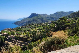 Valldemossa: Day Trip with Panoramic Route