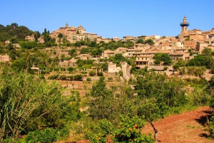 Valldemossa: Day Trip with Panoramic Route