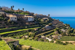 Valldemossa: Day Trip with Panoramic Route