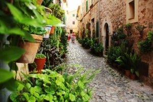 Valldemossa: Guided Walking Tour with Transfer from Palma
