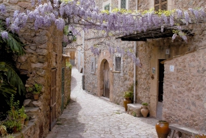 Valldemossa: Guided Walking Tour with Transfer from Palma