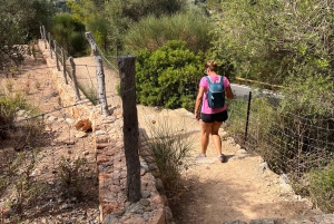 Valldemossa: town and the most beautiful viewpoints