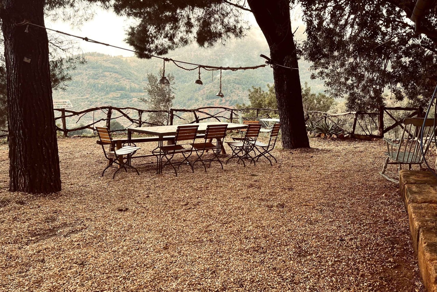 Valle de Sóller, Fornalutx: Rundtur i olivenlunden, smagning af olie og lokale produkter