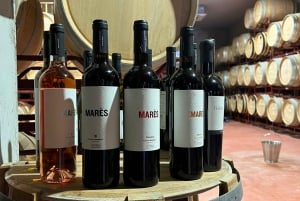 VISIT BODEGAS BORDOY ,DEGUSTACION 5 WINES, FINGER FOOD