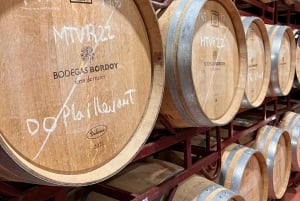 VISIT BODEGAS BORDOY ,DEGUSTACION 5 WINES, FINGER FOOD