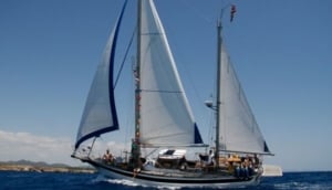 Vita Bel II