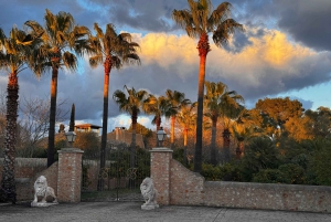 Weinsonntag auf Mallorca