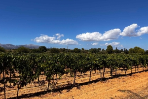 Weinsonntag auf Mallorca