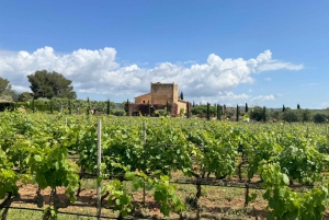 Weinsonntag auf Mallorca