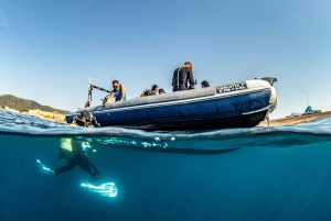 Mallorca: Descubre el submarinismo desde el barco