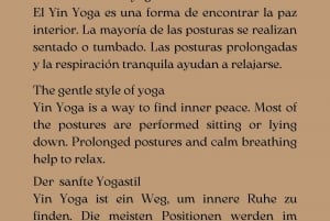 Vida Magica Mallorca: Private Soft Yoga Class in Ses Salines