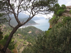 Mallorca coast near Banyalbufar