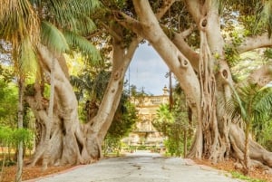 مغامرات في مالطا: الإثارة والتاريخ والجمال الطبيعي