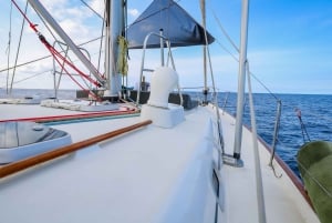 Avventura in barca condivisa a Gozo e Comino