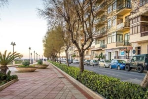 Afternoon Harbours Cruise with Guide and Roundtrip Transfers