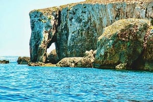 BBQ Bay Cruises: Gozo & Comino: Elephant Rock, Blue Lagoon, Gozo & Comino