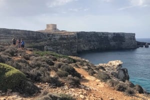 From Sliema/Bugibba: Best of Gozo and Comino Catamaran Tour