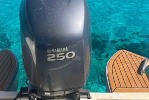 Privat båttur i Den blå lagune, Krystallagunen og Comino-grottene