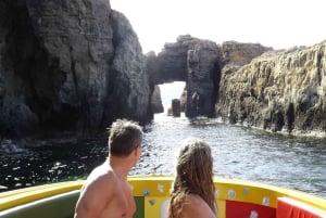 Blue Lagoon Malta: Crystal Lagoon & grotten Privé speedboot