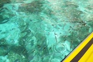 Blue Lagoon Malta: Crystal Lagoon & grotten Privé speedboot