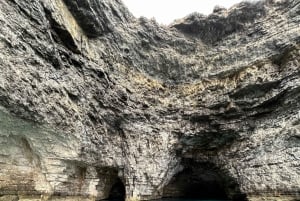 Bootcharters en rondvaarten in Malta