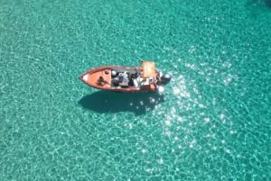 Comino e Laguna Blu in barca privata