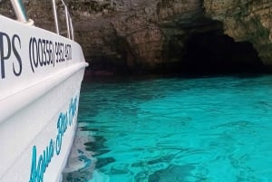 Boat charters and boat tours in Malta