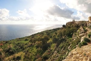 Buskett Woodlands and Dingli Cliffs Private Nature Tour