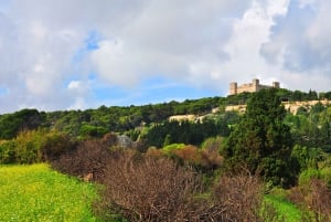 Buskett Woodlands and Dingli Cliffs Private Nature Tour