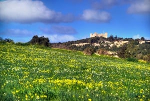 Buskett Woodlands and Dingli Cliffs Private Nature Tour