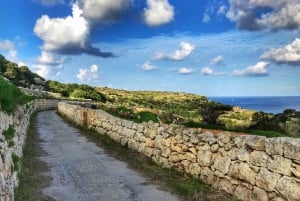Buskett Woodlands and Dingli Cliffs Private Nature Tour