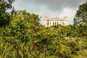 Buskett Woodlands and Dingli Cliffs Private Nature Tour