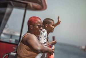 COMBO: Leisure Pass + City Sightseeing Bus & Harbour Cruise