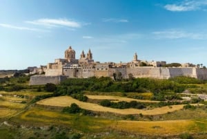 COMBO: Malta: Leisure Plus Pass (CMO)