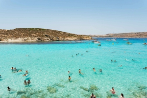 Comino: Blue Lagoon, Crystal Lagoon, and Seacaves Tour