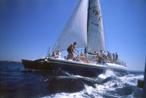 Comino: Blue Lagoon Catamaran Cruise with Lunch and Open Bar