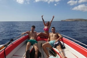 Comino: Blue Lagoon Parasailing Experience