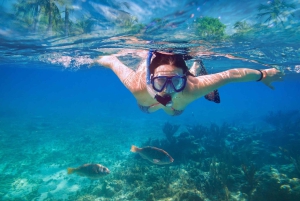 Comino Cruise: Crystal Lagoon, Blue Lagoon, Santa Marija Bay