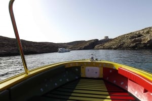 Blaue Lagune: Malta, Kristall-Lagune, Höhlen, privates Schnellboot