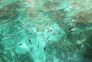 Błękitna Laguna: Comino i Kryształowa Laguna Prywatna łódź motorowa Malta