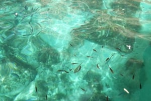 Comino:Crystal & Blue Lagoon,Caves, Private Speedboat Malta