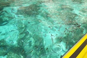 Blue Lagoon Malta: Crystal Lagoon, & Caves Private Speedboat