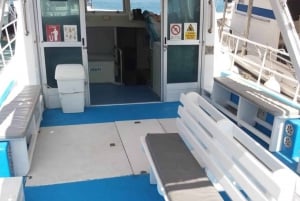 コミノ島：プライベートボートツアー、スイミングストップ、洞窟ツアー